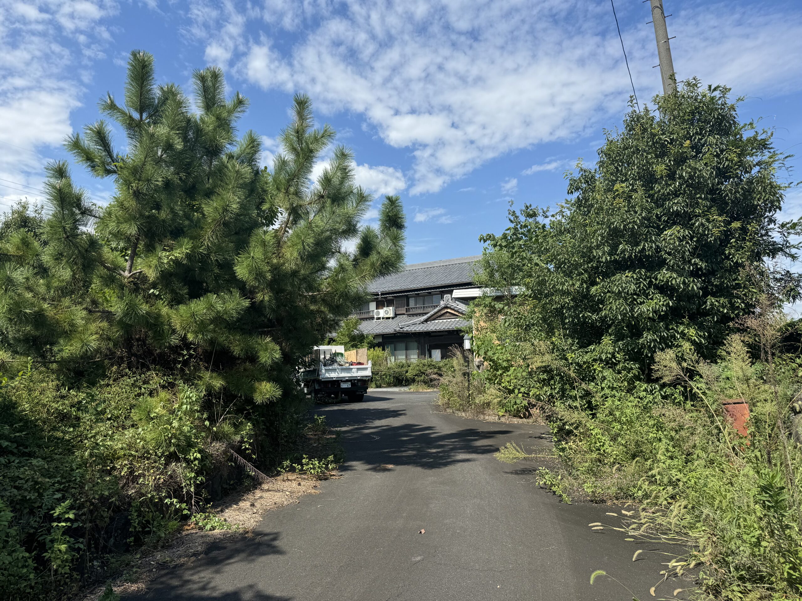 安八町　剪定、伐採