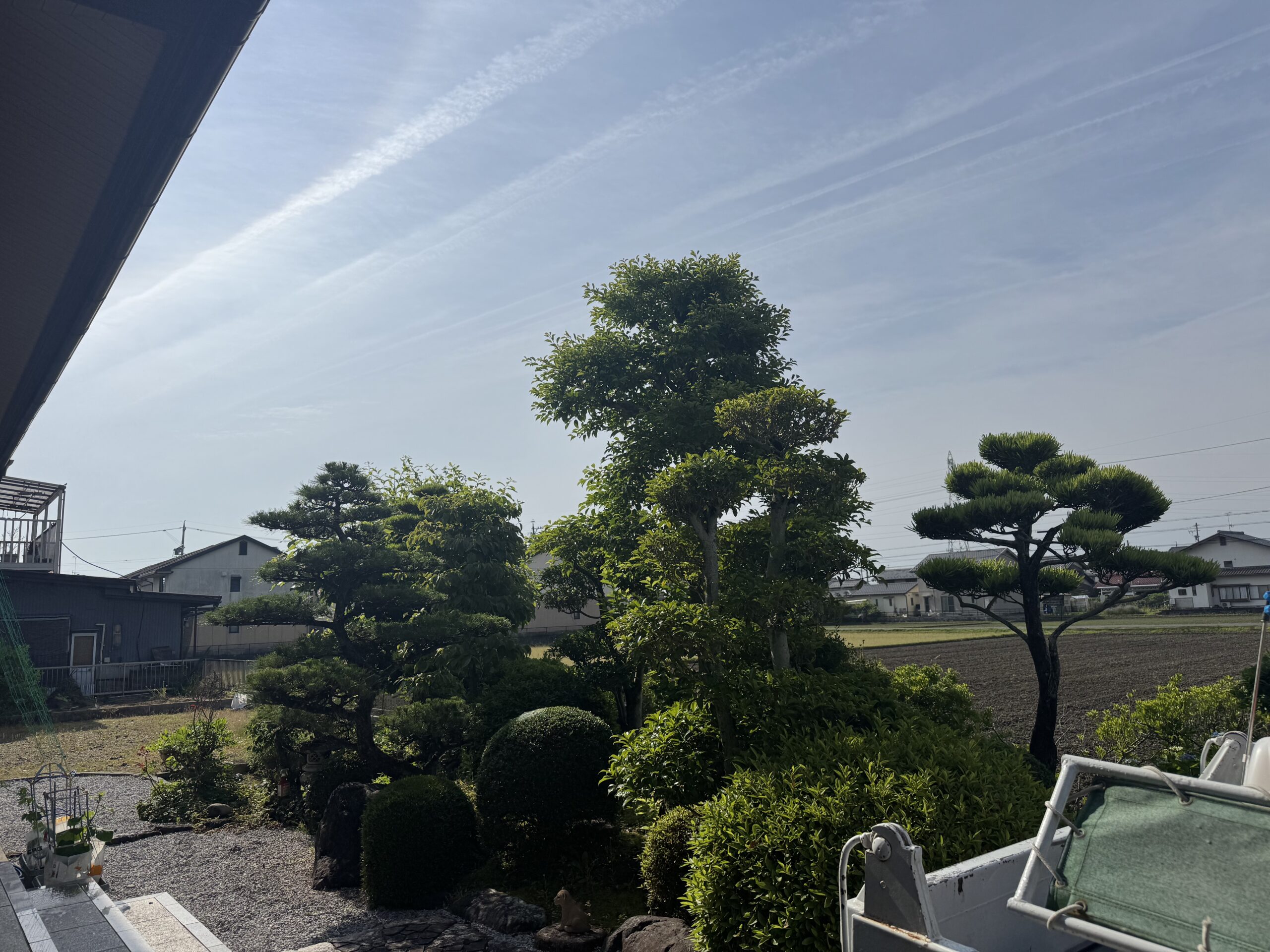 岐阜市　剪定